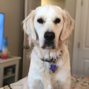 Meet your Posher, Meredith